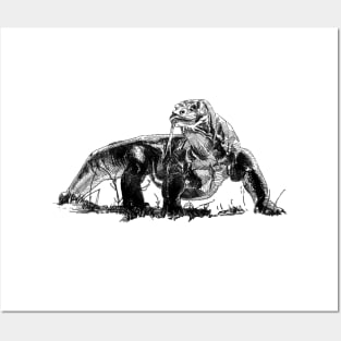 Komodo Dragon Ink Drawing Posters and Art